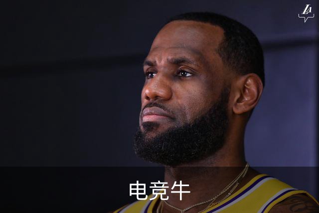 电竞牛公司简介